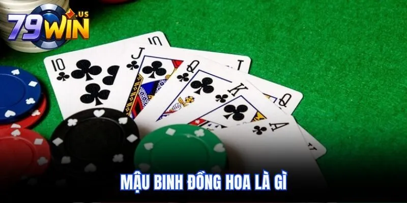 mau binh dong hoa la gi thumb